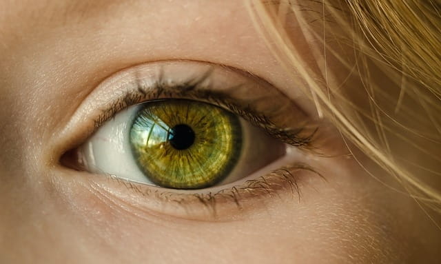 Le traitement des troubles psychologiques par le mouvement oculaire.