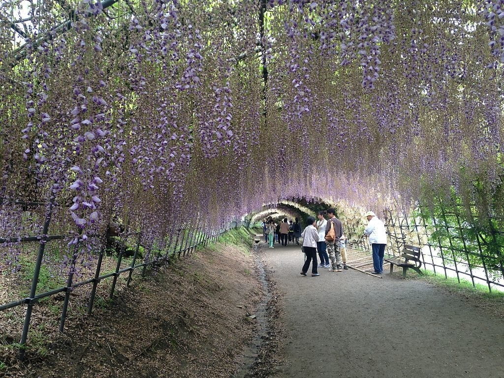 Paysage au Japon.