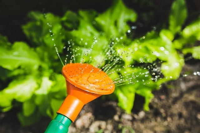 Utiliser les bons outils de jardinage pour ne pas gaspiller l'eau.