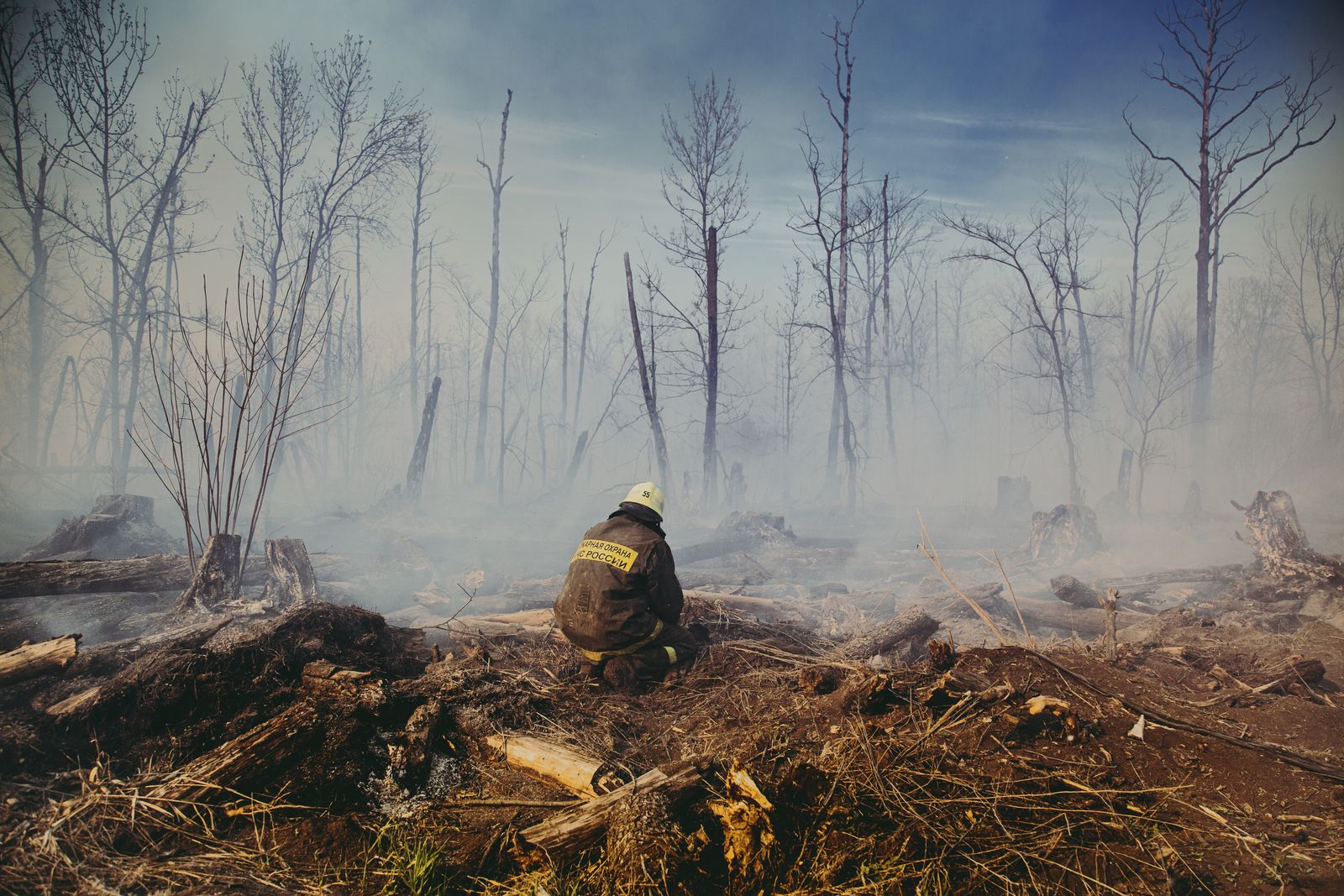 Pompier assis au milieu d'une forêt calcinée